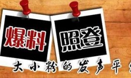 大新闻如何爆料,如何精准爆料引发社会关注