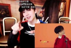媒体爆料刘宇宁视频播放,媒体爆料背后真相揭晓