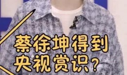 央视爆料蔡徐坤视频,央视深度揭秘事件真相