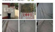 河南女孩爆料最新消息,揭秘最新事件背后真相