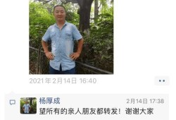 陈女士爆料最新新闻视频,揭秘事件背后惊人真相！